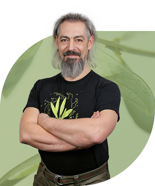 Александр Моисеев